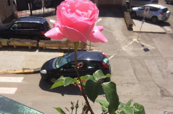 Slowing down on Sardinia