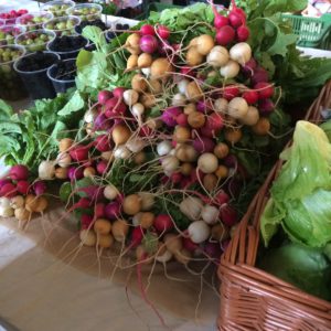 Farmers Market Radishes