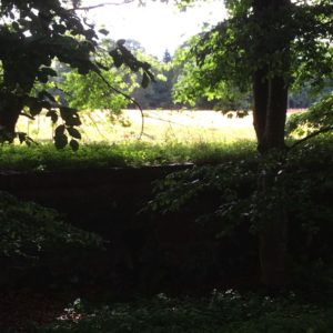 A glimpse of a pasture around Drum Castle