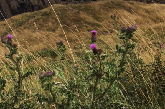 Low lands, high expectations