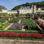 View towards the food gardens from the herb garden